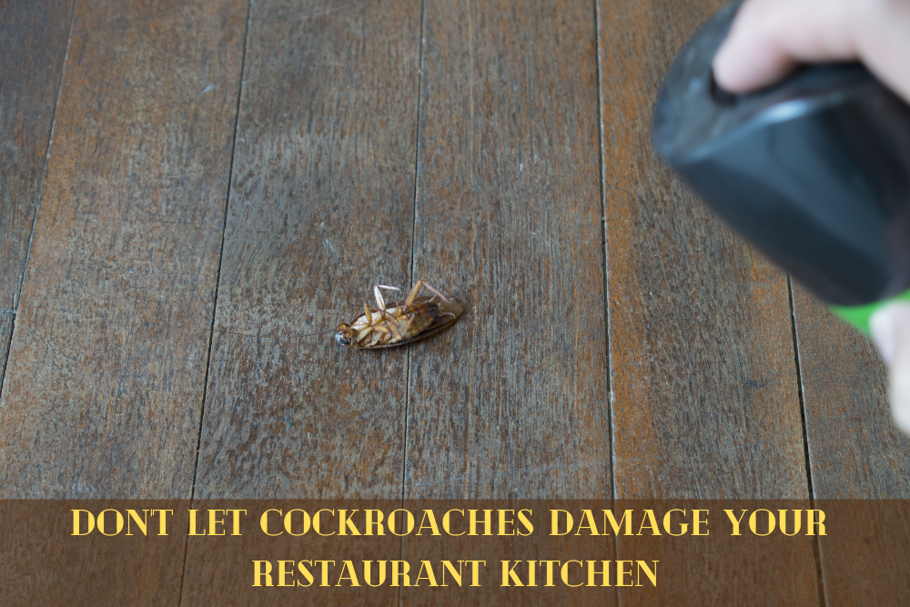 Cockroach pest control