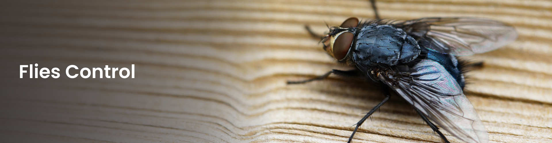 pest control service