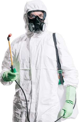 pest control service
